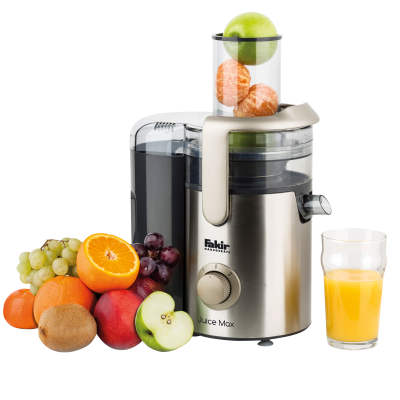 Juice Max Feste Fruchtpresse - 4